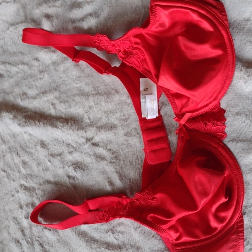 NWOT CHANTELLE BRA 34B
